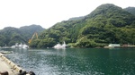 DSC_2124.jpg