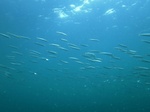 20160717_103654.jpg