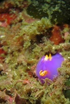 20160717_102340.jpg