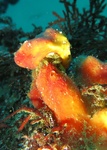 20160723151254.jpg