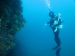 20160807093302.jpg