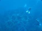 20160918102237.jpg