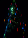xsmastree.jpg