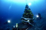 xsmastree2.jpg
